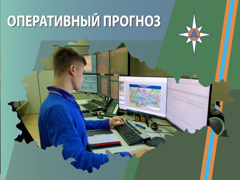 ОПЕРАТИВНЫЙ ЕЖЕДНЕВНЫЙ ПРОГНОЗ  возникновения и развития чрезвычайных ситуаций на территории  Брянской области на 11 июля 2026 года.