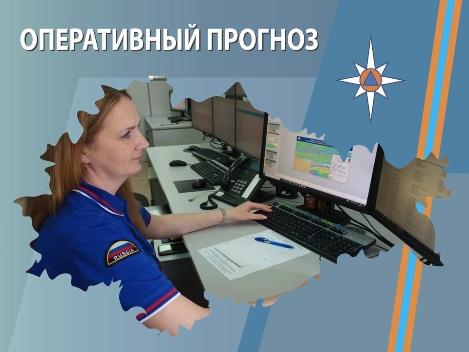 ОПЕРАТИВНЫЙ ЕЖЕДНЕВНЫЙ ПРОГНОЗ  возникновения и развития чрезвычайных ситуаций на территории  Брянской области на 25 июля 2026 года.