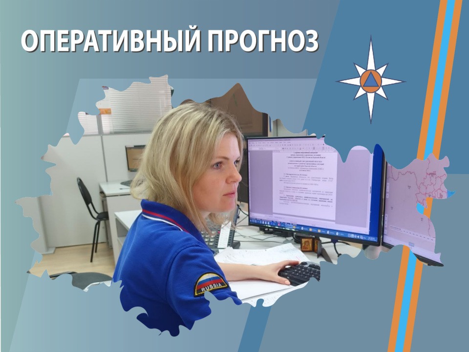 ОПЕРАТИВНЫЙ ЕЖЕДНЕВНЫЙ ПРОГНОЗ  возникновения и развития чрезвычайных ситуаций на территории  Брянской области на 29 июля 2026 года.