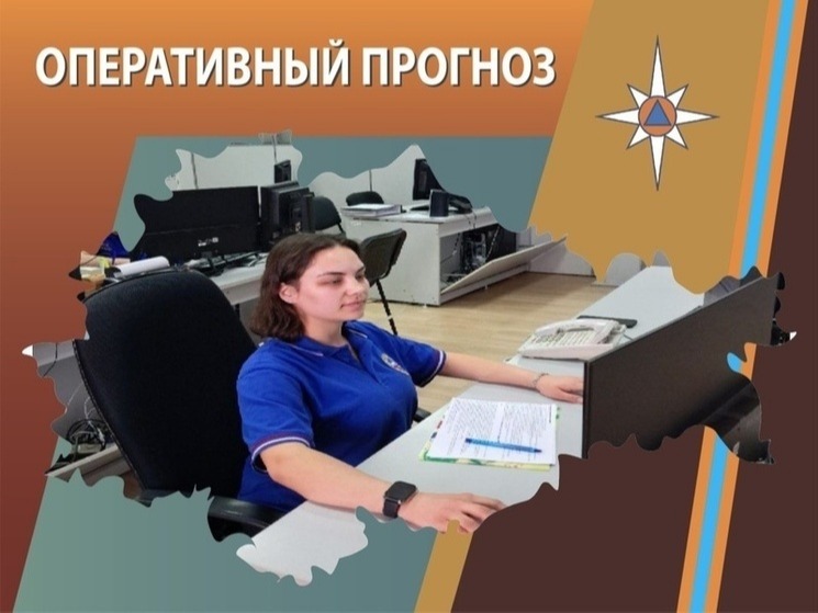ОПЕРАТИВНЫЙ ЕЖЕДНЕВНЫЙ ПРОГНОЗ  возникновения и развития чрезвычайных ситуаций на территории  Брянской области на 28 июля 2026 года.